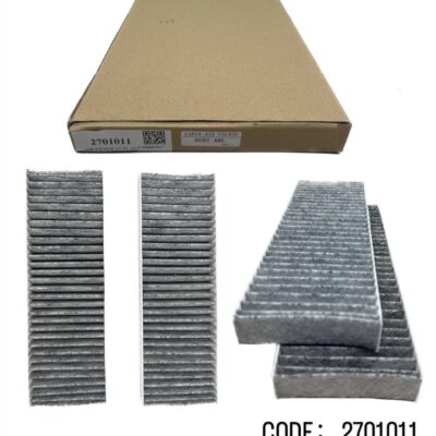 AIR FILTER AUDI A6 (CARBON) ' 2PCS 'CSW