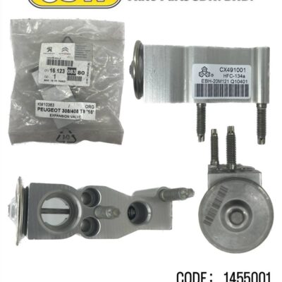VALVE PEUGEOT ORI 308/408 T9 16'