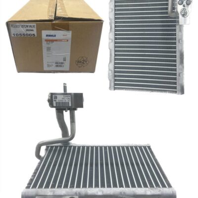 COIL (OG) PEUGEOT 207 C/W VALVE BEHR