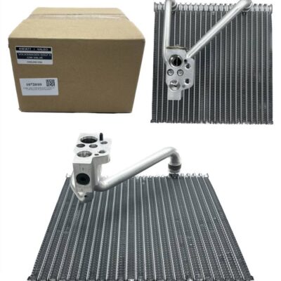 COIL (OG) VOLKWAGEN GOLF 5 C/W VALVE VALEO