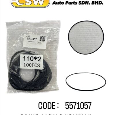 ORING 110 X 2 'CHINA