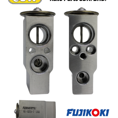VALVE (C) PROTON WAJA ND 9071 (FUJIKOKI) VHE-10QTEX-17