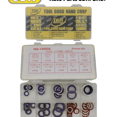 TOOLS HOSE GASKET WASHER KIT BMW/FORD/DELPHI V5 (55PCS) TGH HS-1900A